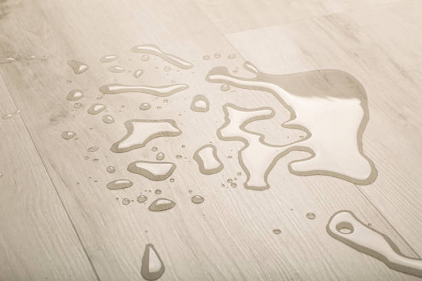 Expert Waterproof Flooring Installation in Herndon, VA